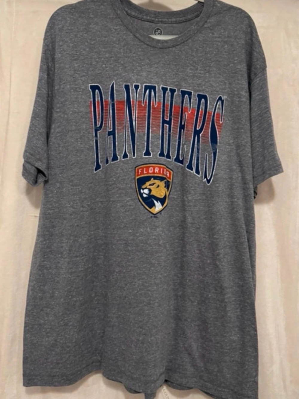 Florida Panthers Grey Graphic Tee - Panthers Logo Short Sleeve Shirt 2XL